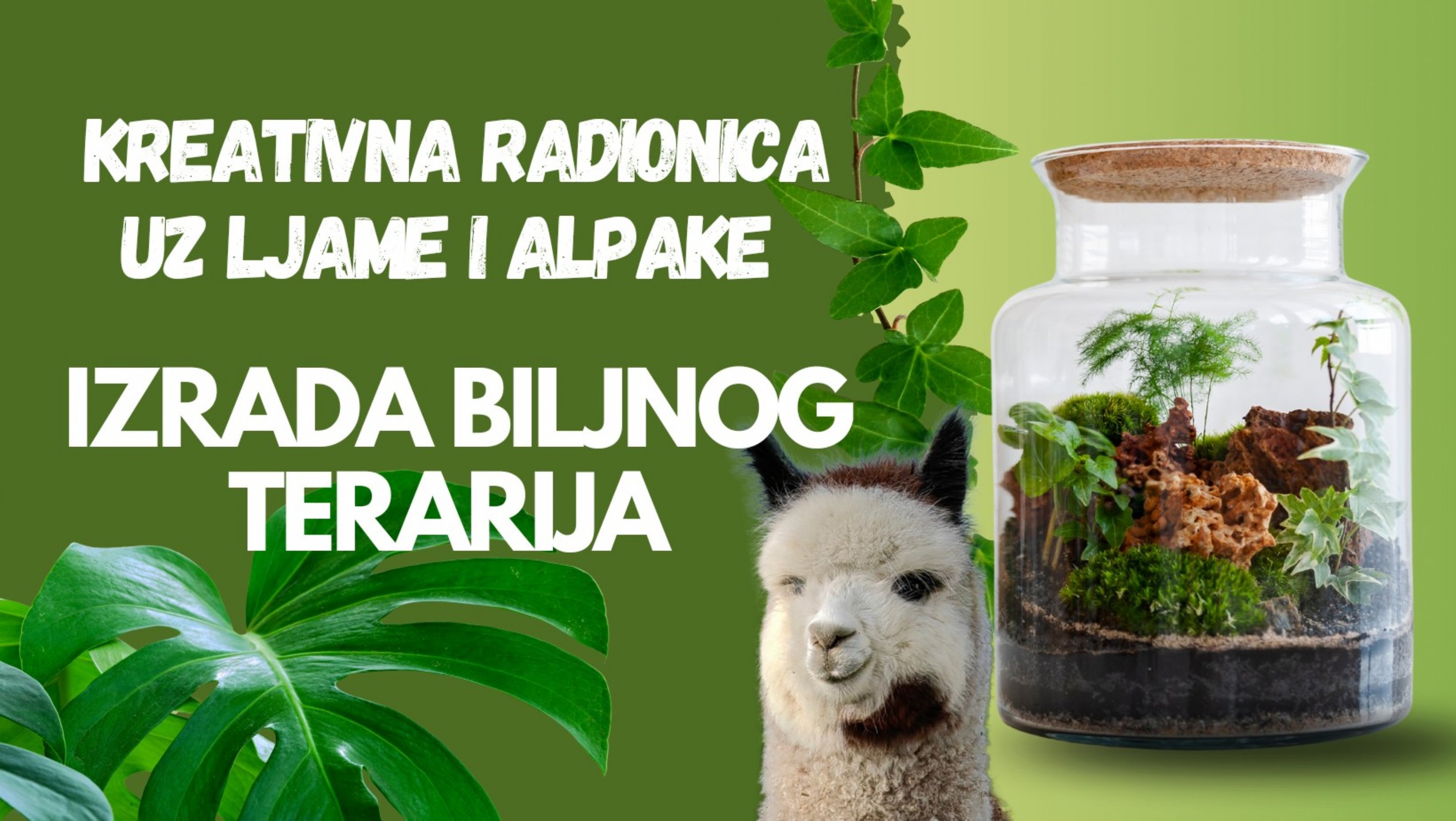 Radionica izrade biljnog terarija uz ljame i alpake